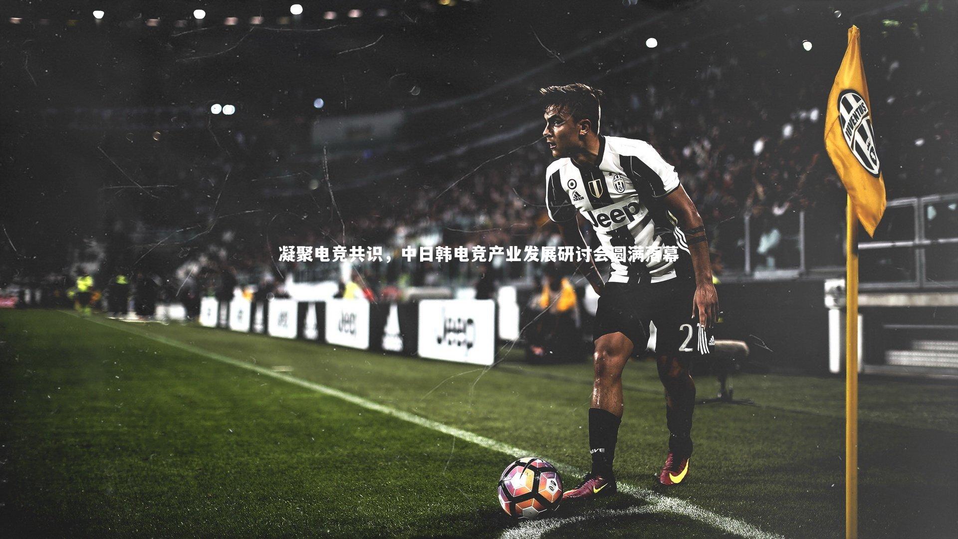 凝聚电竞共识，中日韩电竞产业发展研讨会圆满落幕